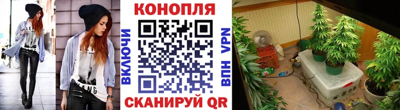 Конопля индика  ОМГ ОМГ ONION  Чадан 